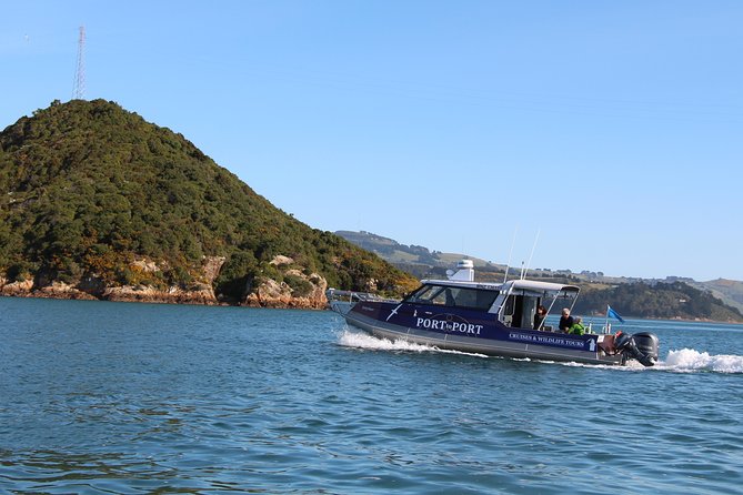 Albatross, seals, and sea birds-Wildlife Cruise - How much of this is about value versus price