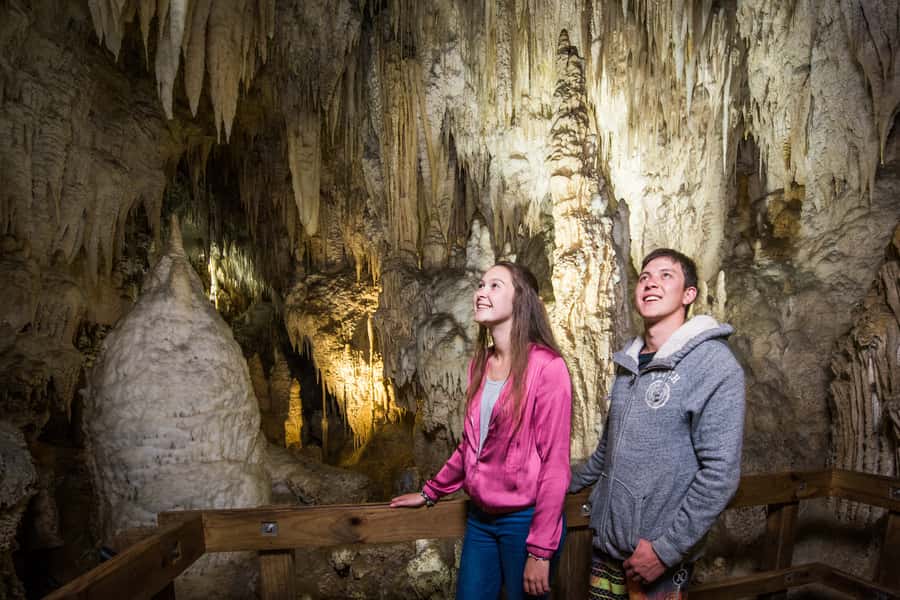 Aranui Cave 1-Hour Guided Tour - Key highlights to look for
