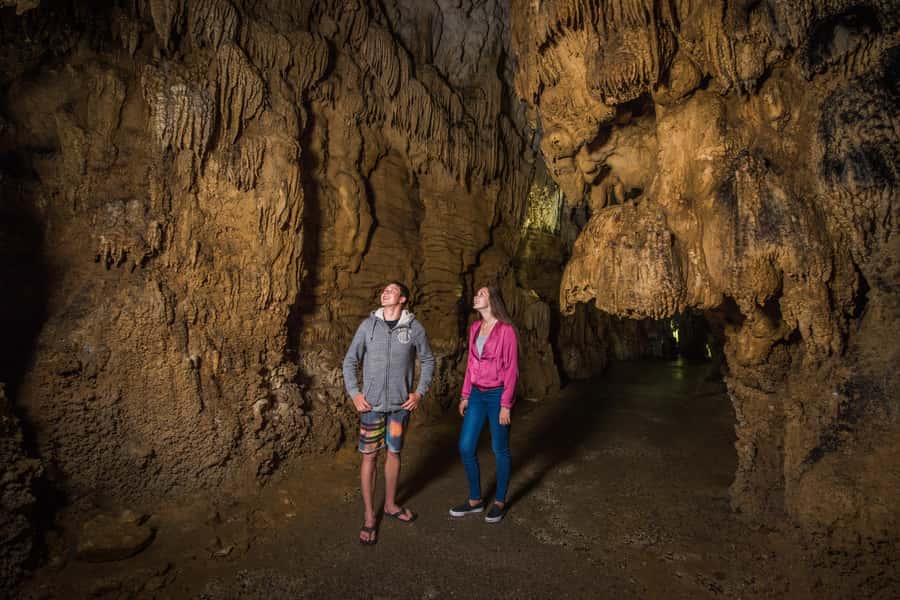 Aranui Cave 1-Hour Guided Tour - Ruakuri Scenic Reserve: a quieter cave stop near Waitomo