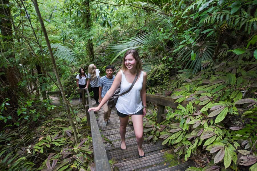 Aranui Cave 1-Hour Guided Tour - Māori history and geology, told through stories and rock facts
