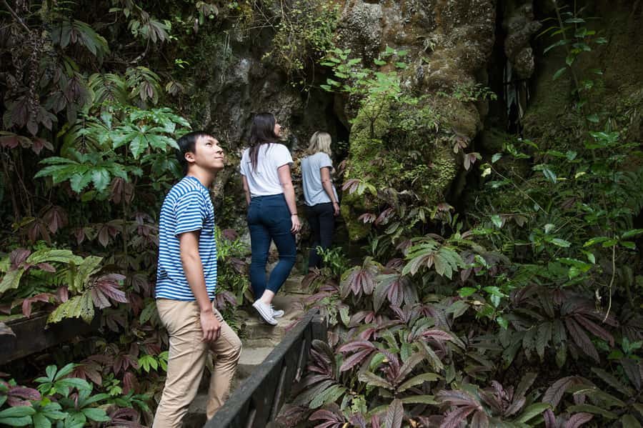 Aranui Cave 1-Hour Guided Tour - Should you book Aranui Cave 1-Hour Guided Tour?