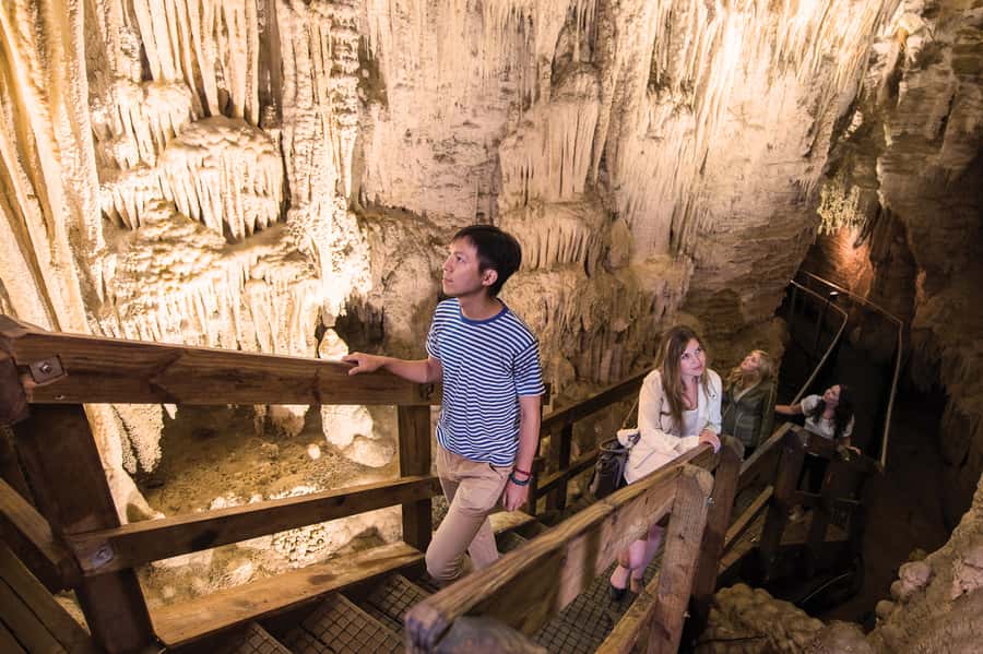 Aranui Cave 1-Hour Guided Tour - Meeting at the Visitor Centre and easing into the experience