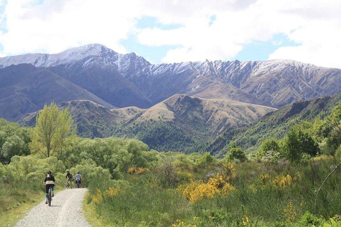 Arrowtown Mountain Bike Hire - What to Ride: The Arrow River Bridges Trail for Easy Scenic Time