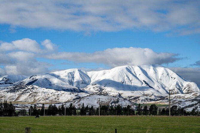 Arthur’s Pass Day Tour From Christchurch via Castle Hill - Arthur’s Pass National Park: the Kea chance, beech forest feel, and waterfall country