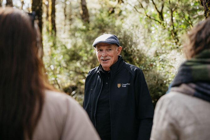 Arthur's Pass Discovery and TranzAlpine Train - Small Group Tour - Cave Stream: when underground water meets the limestone cliffs