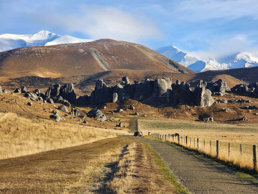 Arthur’s Pass Tour From Christchurch via CHC-GRZ TranzAlpine - Key Things You’ll Notice on This Arthur’s Pass Trip
