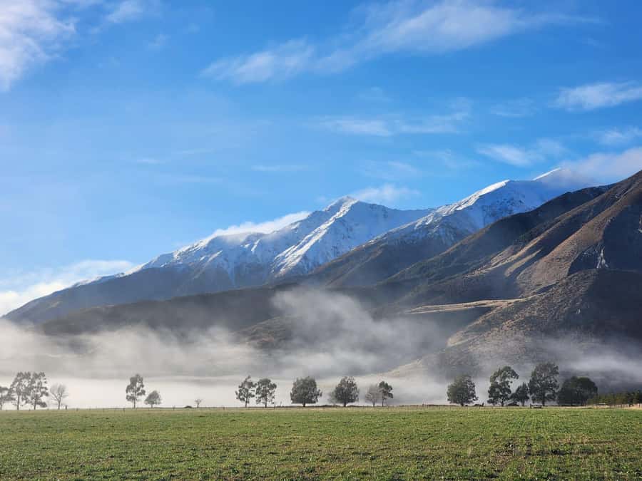 Arthur’s Pass Tour From Christchurch via CHC-GRZ TranzAlpine - Should You Book This Arthur’s Pass Tour?