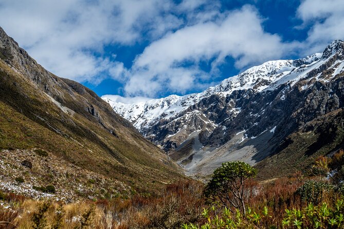 Arthur’s Pass Tour From Christchurch With Jet Boat & TranzAlpine - Key highlights to pay attention to