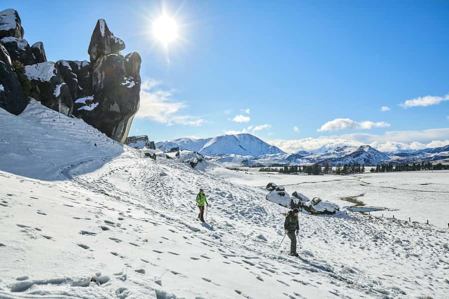 Arthur's Pass: TranzAlpine Train and Castle Hill Day Tour - Key Highlights Worth Planning For