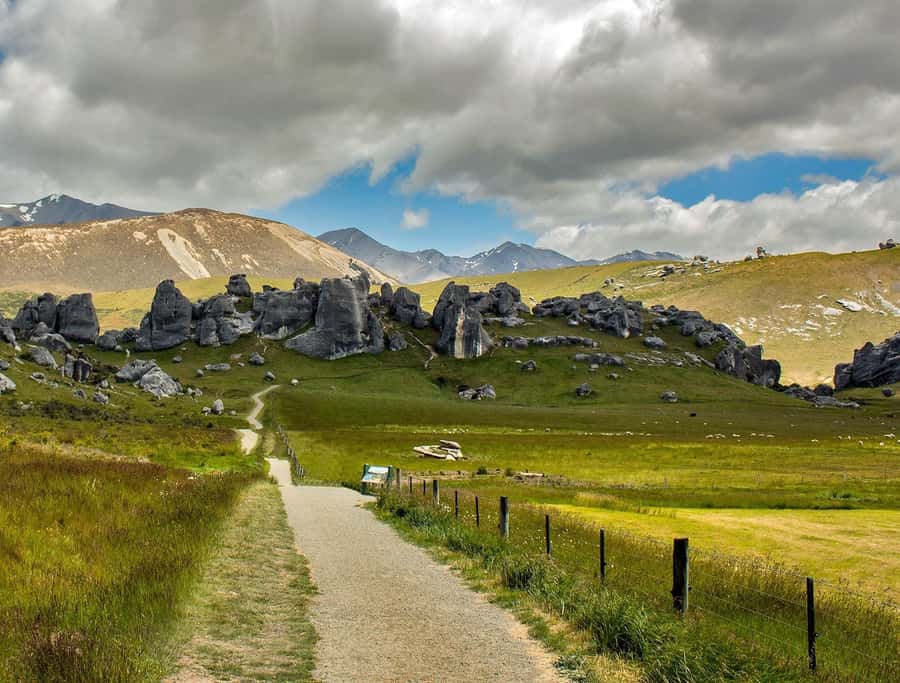 Arthur's Pass: TranzAlpine Train and Castle Hill Day Tour - Who This Tour Fits Best, and Who Should Skip It