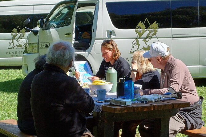 Arthur's Pass with optional TranzAlpine Train (Small Group Tour) - Arthur’s Pass village: your 2-hour base in the mountains