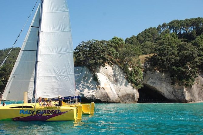 Arvo of goodness Chilled out Sail (3.5hrs) - Entering Whitianga’s salt air: wind, comfort, and a real break from schedules