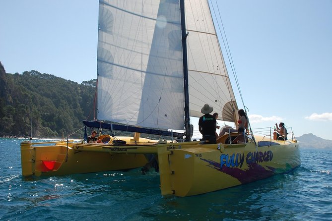 Arvo of goodness Chilled out Sail (3.5hrs) - Bean bags, blankets, and onboard comfort that actually changes the trip