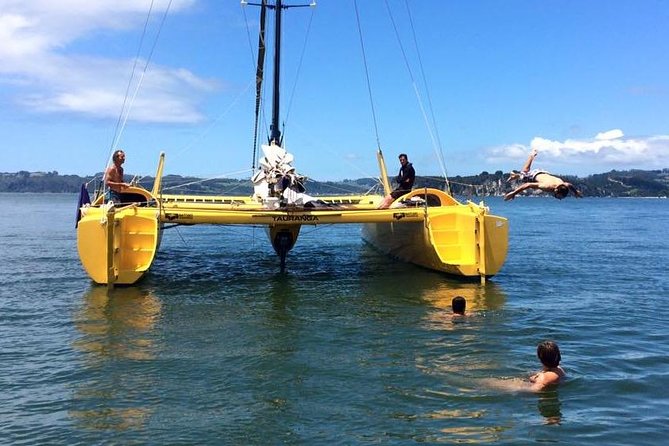 Arvo of goodness Chilled out Sail (3.5hrs) - Food and drinks: snacks, alcohol, and one seasonal caution