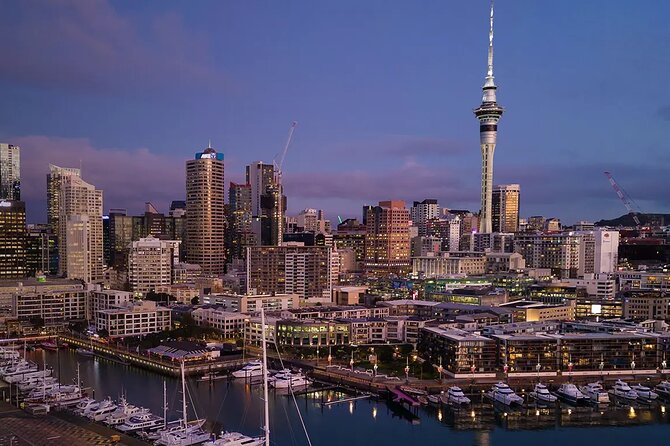 Auckland Airport Private Transfer - First Few Minutes: Why This Transfer Feels Worth It