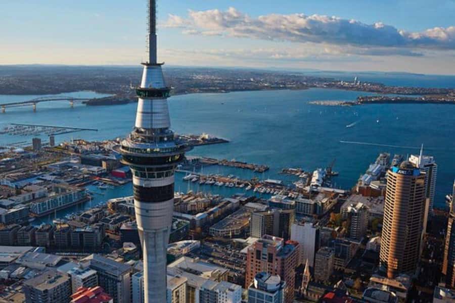 Auckland: Auckland City & Hauraki Gulf Scenic Flight - From Waiheke Airport: Vineyards, Coastline, and Instant Perspective