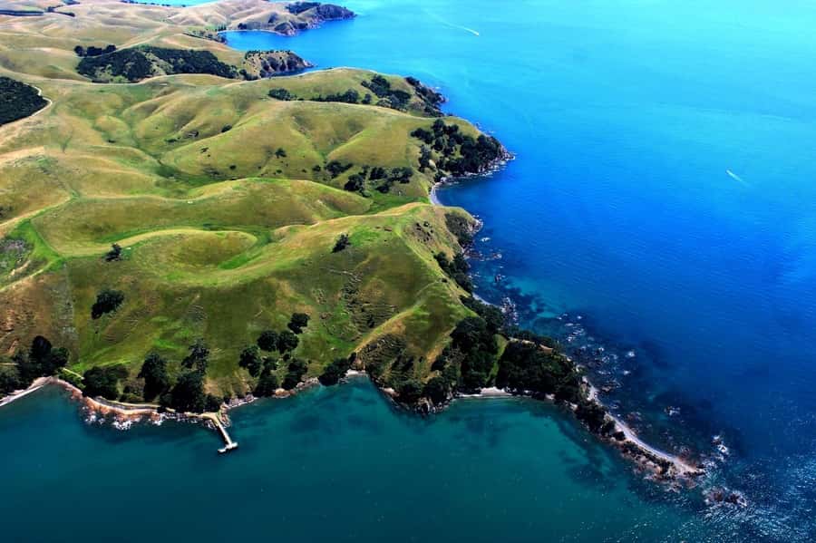Auckland: Auckland City & Hauraki Gulf Scenic Flight - Who This Flight Suits Best