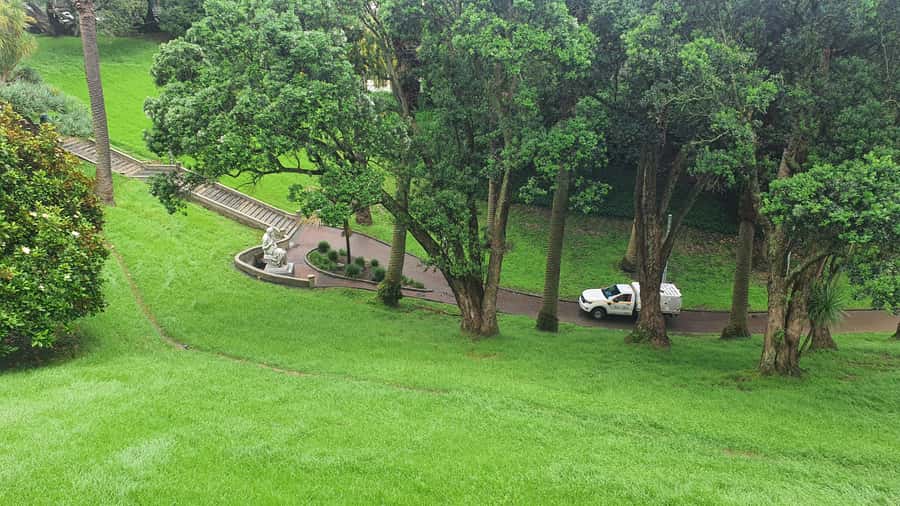 Auckland: Auckland City Tour 4 hours private - Door-to-door Auckland CBD pickup, in a true private format