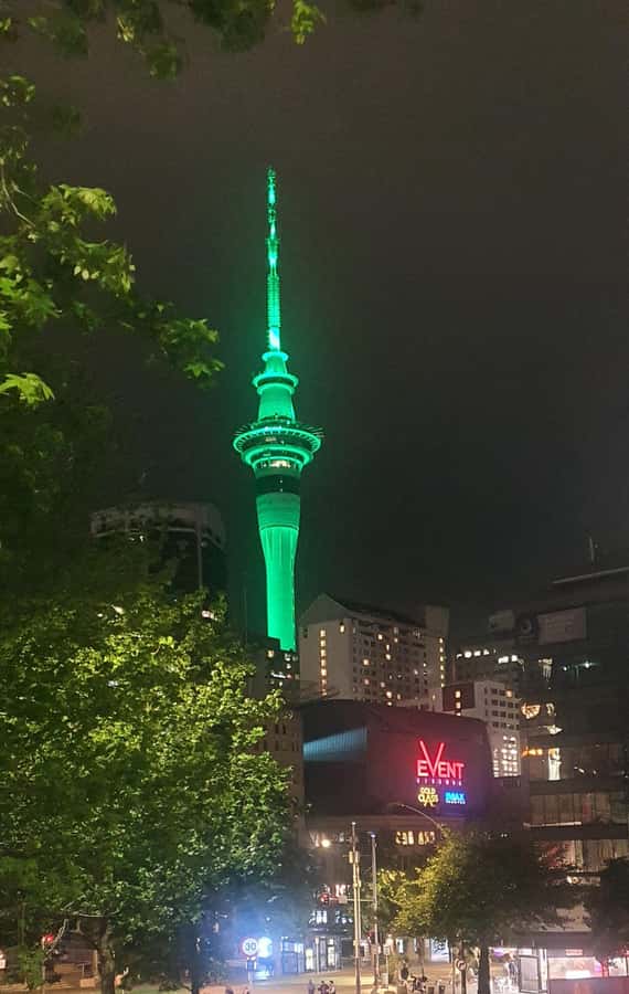 Auckland: Auckland City Tour 4 hours private - Auckland Domain and the War Memorial Museum stop you can tailor to your pace