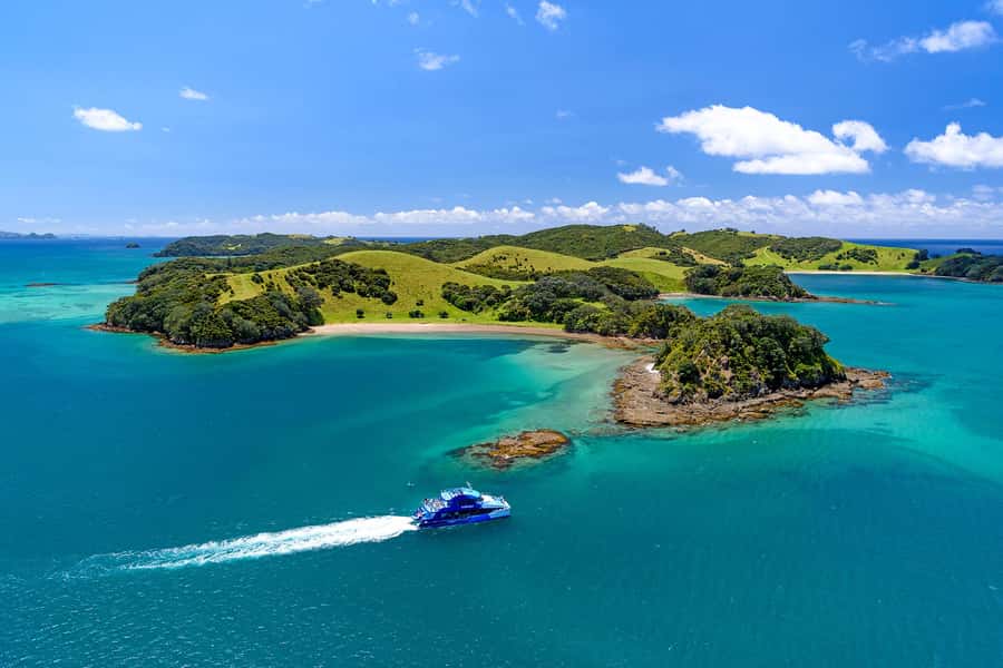 Auckland: Bay of Islands Day Tour with Dolphin Cruise - Key things to know before you go