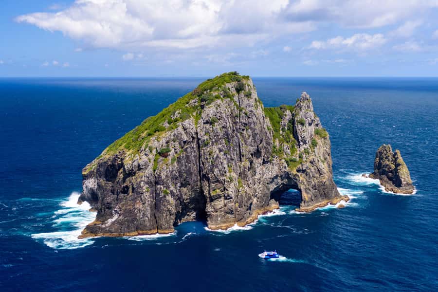 Auckland: Bay of Islands Day Tour with Dolphin Cruise - Urupukapuka Island at Otehei Bay: lunch, swim, and a view walk