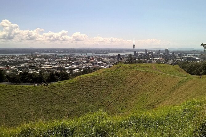 Auckland Best Top 5 Spots Half day Tour - Key Points at a Glance
