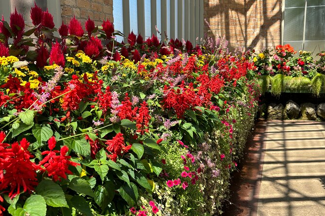 Auckland Best Top 5 Spots Half day Tour - Domain Winter Gardens: Two Glasshouses, One Easy Time Block