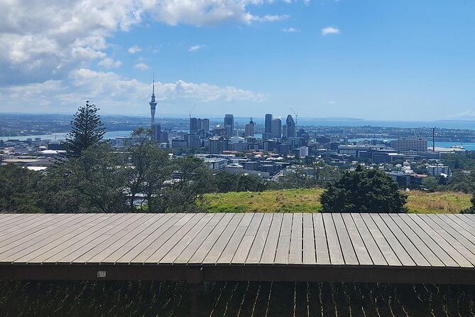 Auckland Best Top 5 Spots Half day Tour - Westhaven Yacht Marina: Fast, Iconic, and Great for Photos