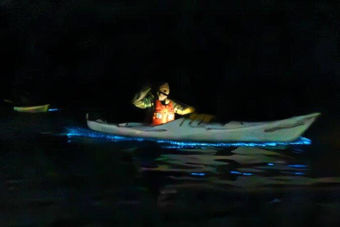 Auckland Bioluminescence Kayak Tour - Key things to know