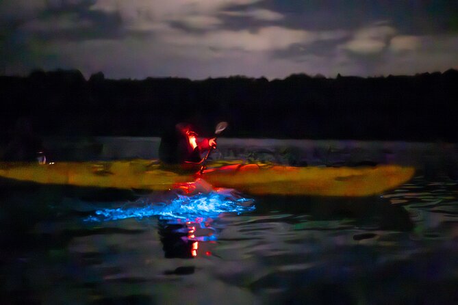 Auckland Bioluminescence Kayak Tour - Safety on the Water: Life Jackets, Calm Guides, and Real Comfort