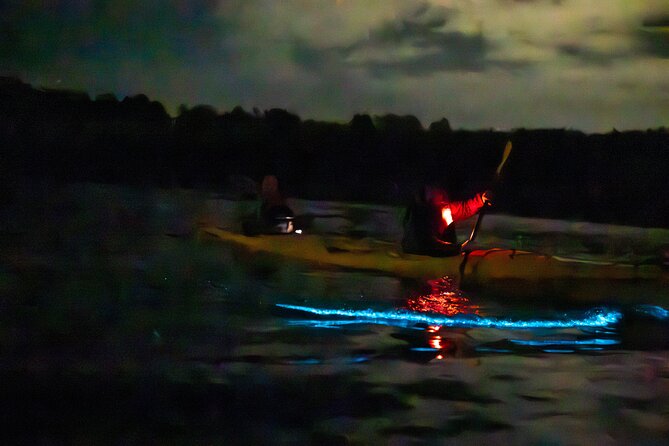 Auckland Bioluminescence Kayak Tour - Photo Tips for Blue Water and Night Light