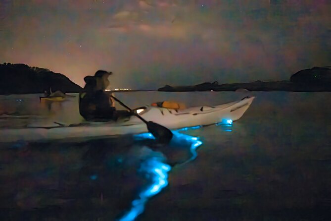 Auckland Bioluminescence Kayak Tour - The 2-Hour Flow: Gear Up to Glowing Wake