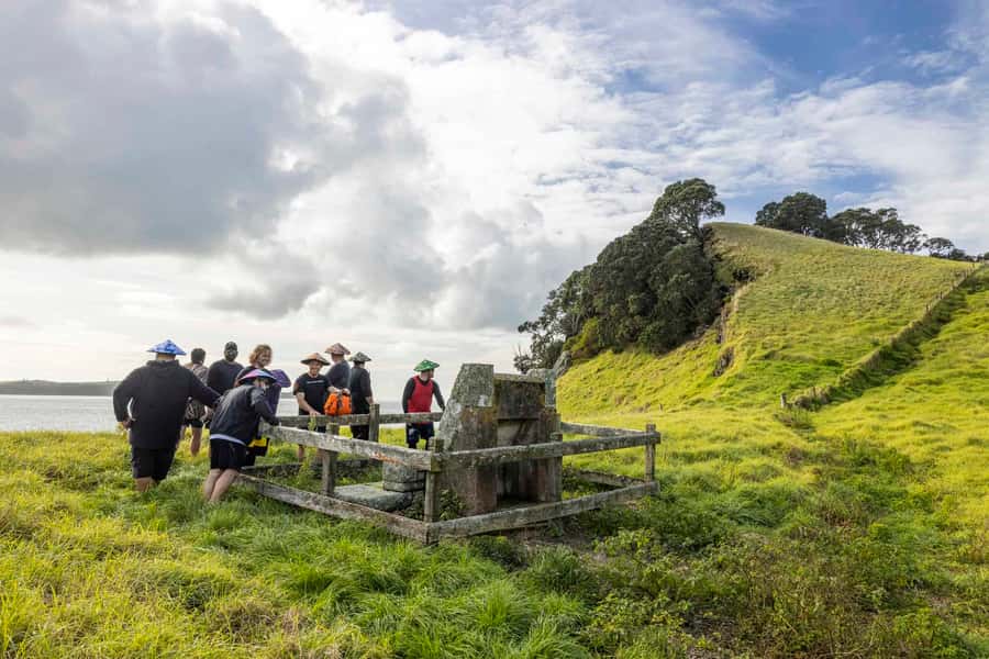 Auckland: Browns Island (Motukorea) Sea Kayak Tour - Who should book this Browns Island tour, and who might want to rethink it