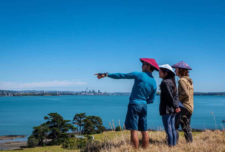 Auckland: Browns Island (Motukorea) Sea Kayak Tour - Wildlife spotting, how to improve your odds (without stressing)