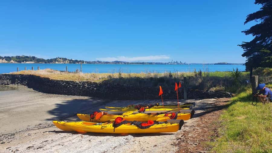Auckland: Browns Island (Motukorea) Sea Kayak Tour - Price and value: is $89 fair for a 4-hour guided sea kayak trip?