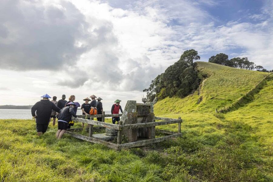 Auckland: Browns Island (Motukorea) Sea Kayak Tour - Timing, tides, and wind: the reality of Auckland sea kayaking
