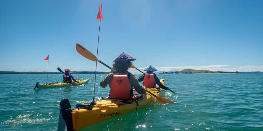 Auckland: Browns Island (Motukorea) Sea Kayak Tour - St Heliers Beach start: safety briefing, gear fit, and your first strokes