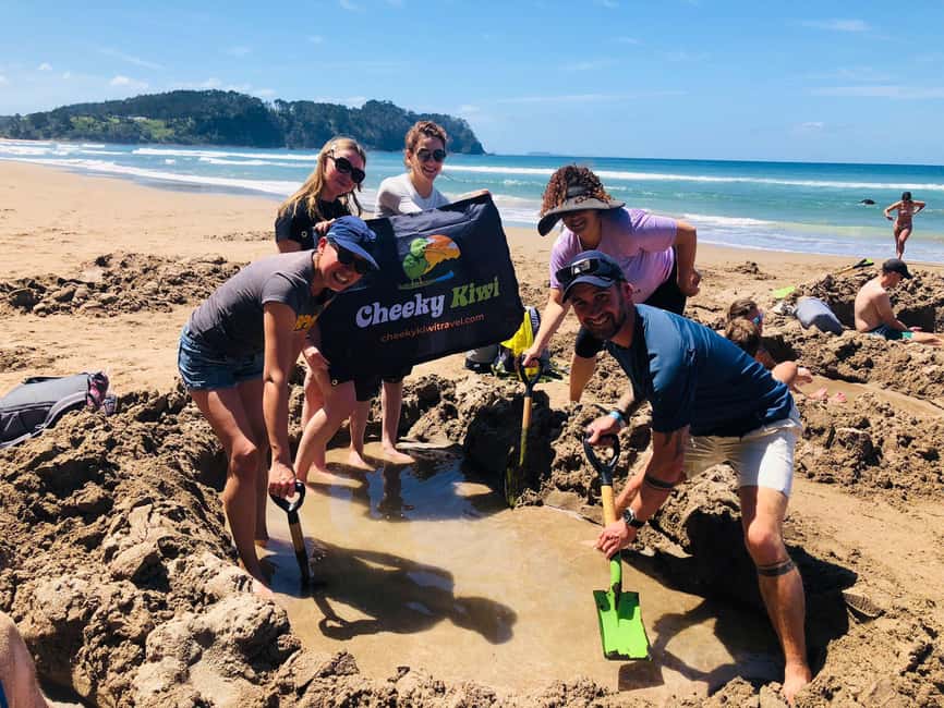 Auckland: Cathedral Cove and Coromandel Small Group Tours - Comfort and convenience on the road: what is included and what to plan for