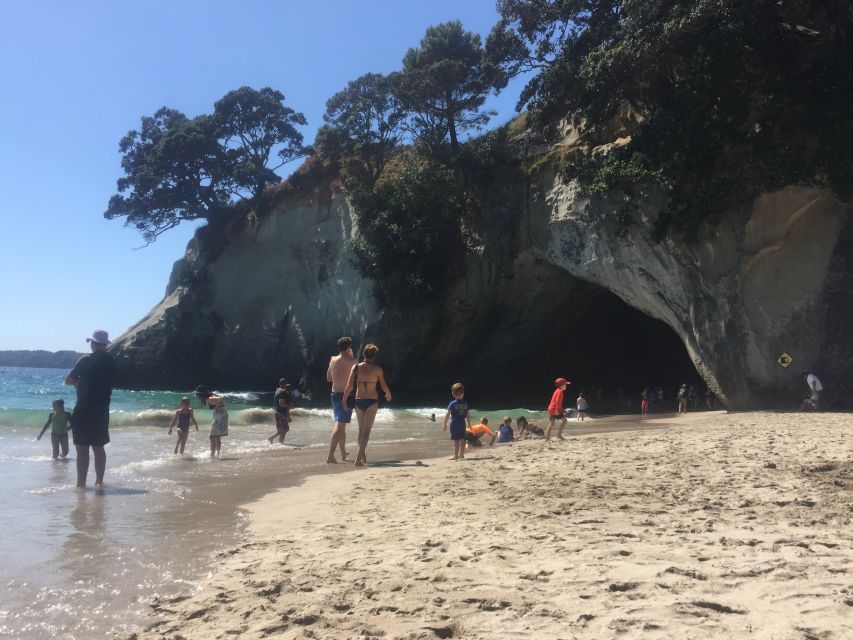Auckland: Cathedral Cove and Coromandel Small Group Tours - Price and value: is $155 a fair deal for Cathedral Cove day time?