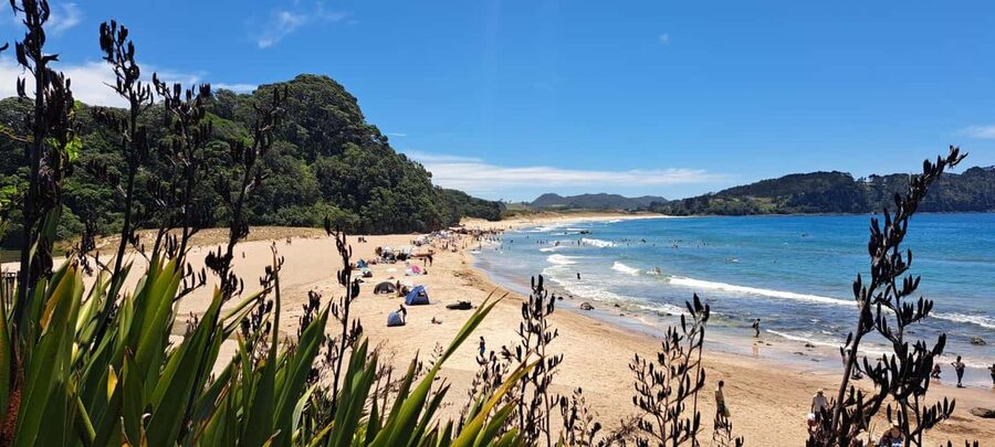 Auckland: Cathedral Cove and Coromandel Small Group Tours - Weather, tides, and plan changes: how not to get frustrated