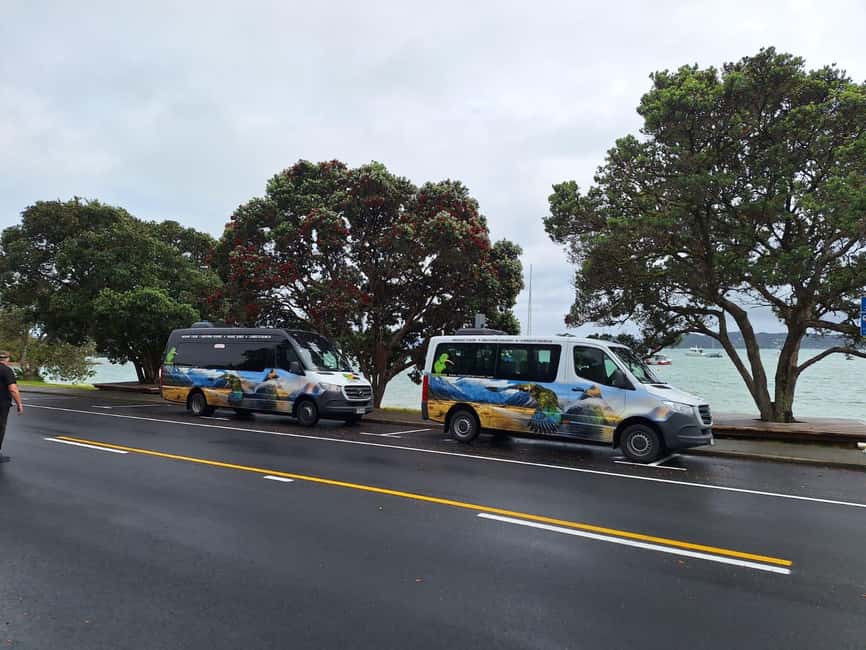 Auckland: Cathedral Cove and Coromandel Small Group Tours - Mautohe Cathedral Cove: the walk, the views, and the shoes test