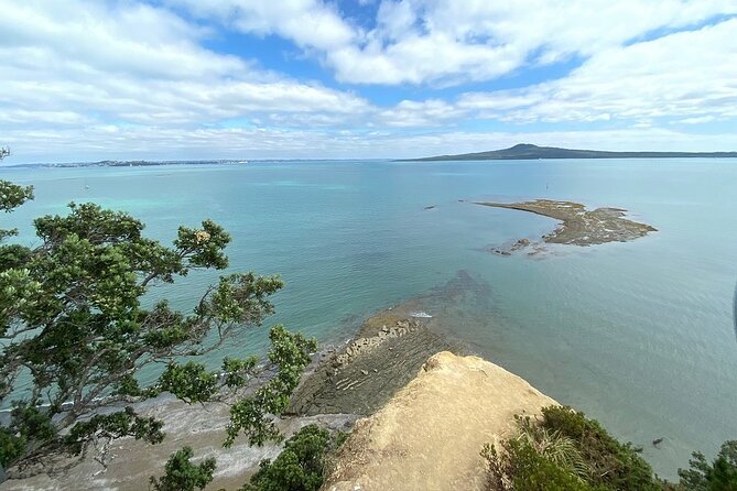 Auckland City and West Coast Full Day Tour - Why This Auckland-to-Piha Day Works Without a Rental Car