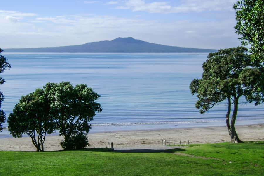 Auckland City, Beaches & Rainforest Premium Small Group Tour - Key points before you go