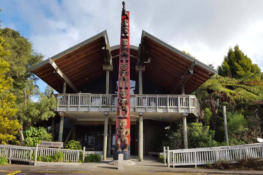 Auckland City, Beaches & Rainforest Premium Small Group Tour - Waitakere Ranges rainforest walk: kauri trees, giant tree ferns, and easy bush tracks