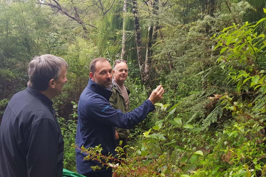 Auckland City, Beaches & Rainforest Premium Small Group Tour - Price and value: why $176 can feel fair for this much geography