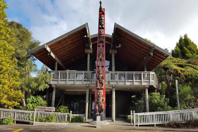 Auckland City Highlights, Afternoon Piha Beach & Rainforest Tour - A short rainforest walk at Arataki: ferns, birds, and kauri