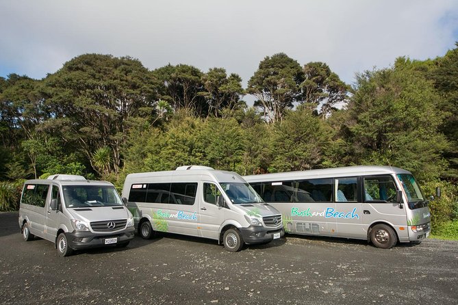 Auckland City Highlights, Afternoon Piha Beach & Rainforest Tour - Piha Beach: black sand, quick stroll time, and rain reality