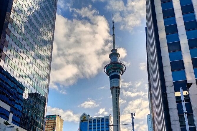 Auckland City Highlights Full Day Tour - Winter Garden at Auckland Domain: A Clear, Indoor Reset