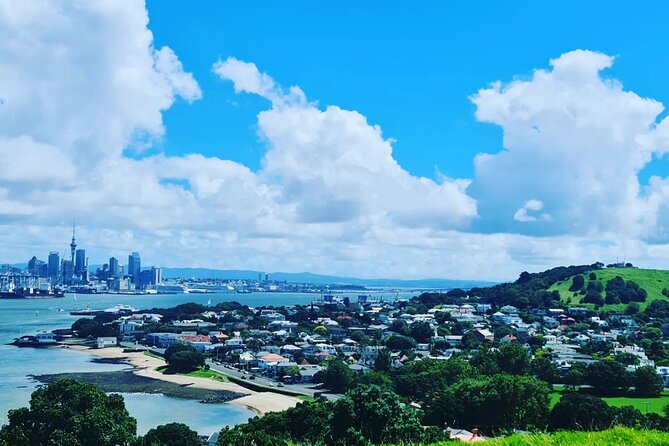 Auckland City Highlights Full Day Tour - Auckland War Memorial Museum: What You Need to Budget