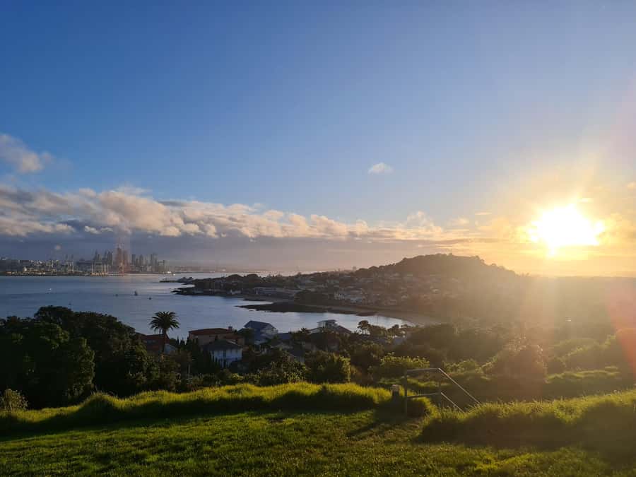 Auckland City Highlights Half Day Tour - Key Things That Make This Auckland Highlights Tour Work